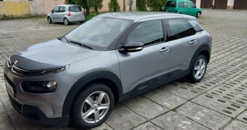 samochody osobowe Citroen C4 Cactus cena 49000 przebieg: 41000, rok produkcji 2019 z Rzeszów